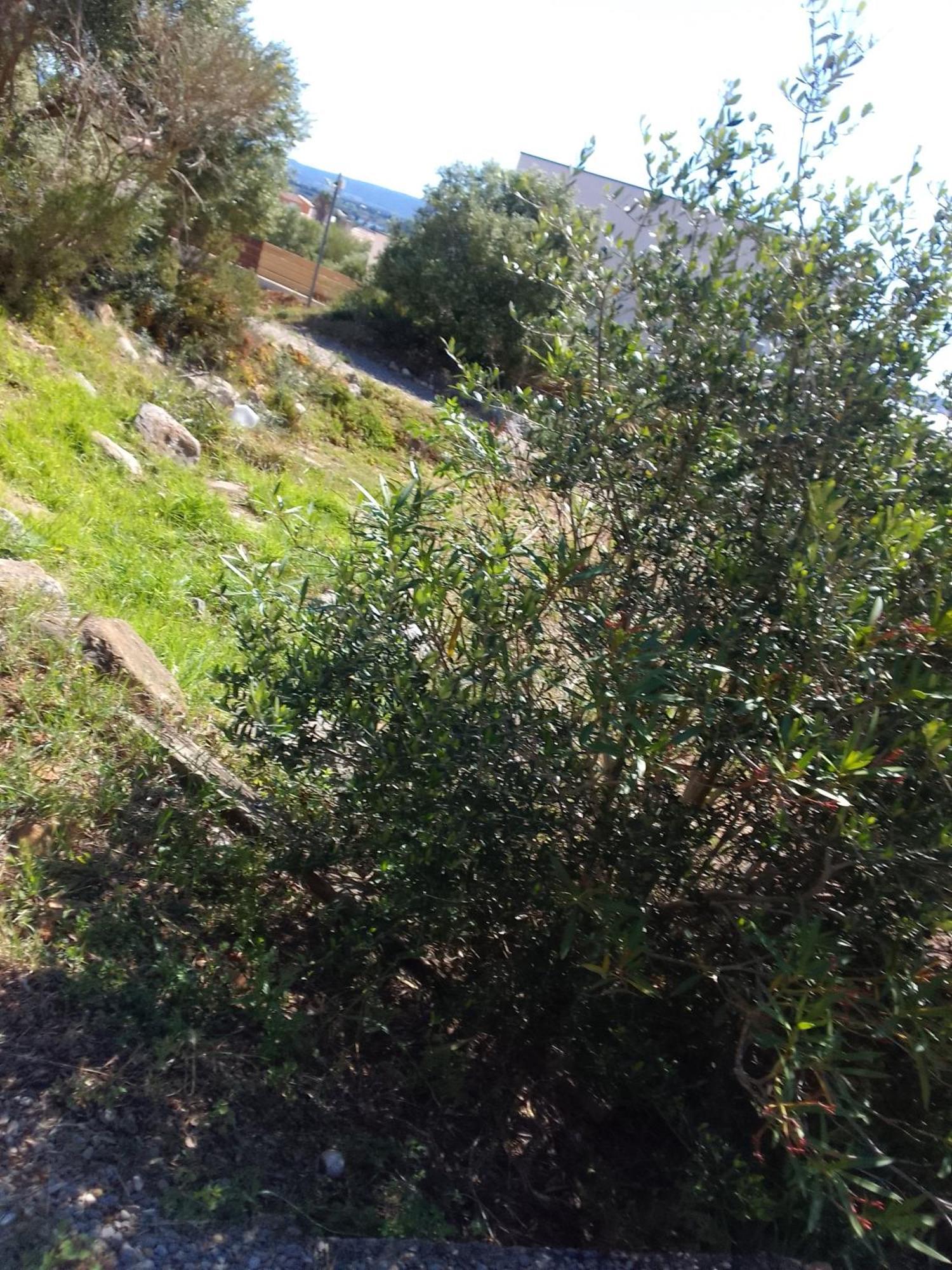 Gite De L'Etang Proche Des Grands Buffets Narbonne Exterior photo